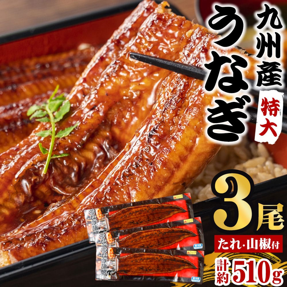 九州産うなぎ蒲焼１㎏（頭なしの形の良い限定品！）冷凍便　500個以上の「良い kyusyuunagi_00_3p_1000x1000-