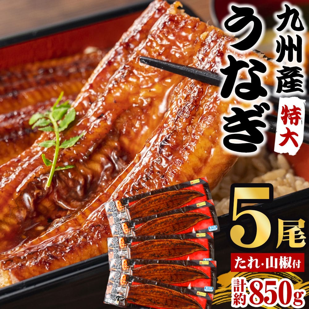 お届け日時指定可！九州産うなぎ蒲焼１㎏（捌きミス・冷凍便） お届け日時指定可！九州産うなぎ蒲焼1㎏（捌きミス・冷凍便）