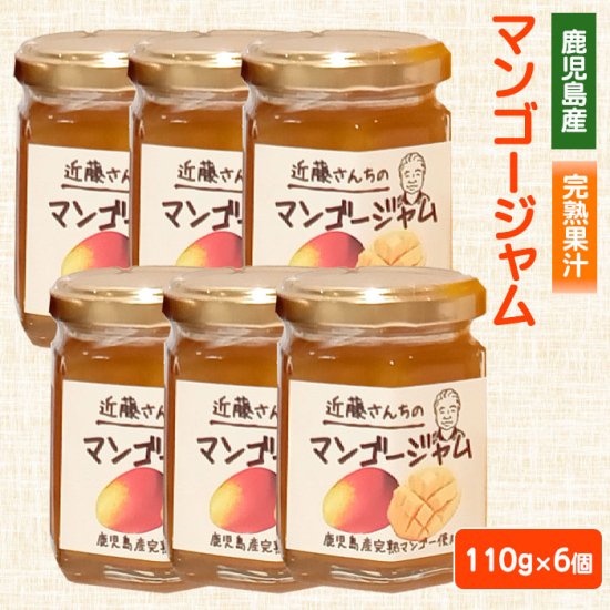 楽天市場】送料無料 鹿児島県産 ジャム ( ブルーベリー