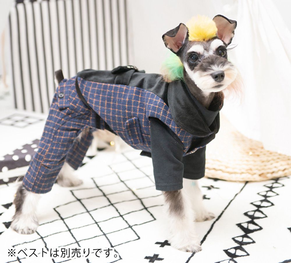 楽天市場 10 Offクーポン 犬服 春 セットアップ パンツ チェック 柄 ブランド ファンシーハウス 送料無料 愛犬 ペット 犬の服 プレゼント 人気 可愛い おしゃれ Dog Pet 秋 冬 お出かけ 結婚式 正装 お祝い フォーマル Pet Brand Goods 雑貨 Eroe Roe