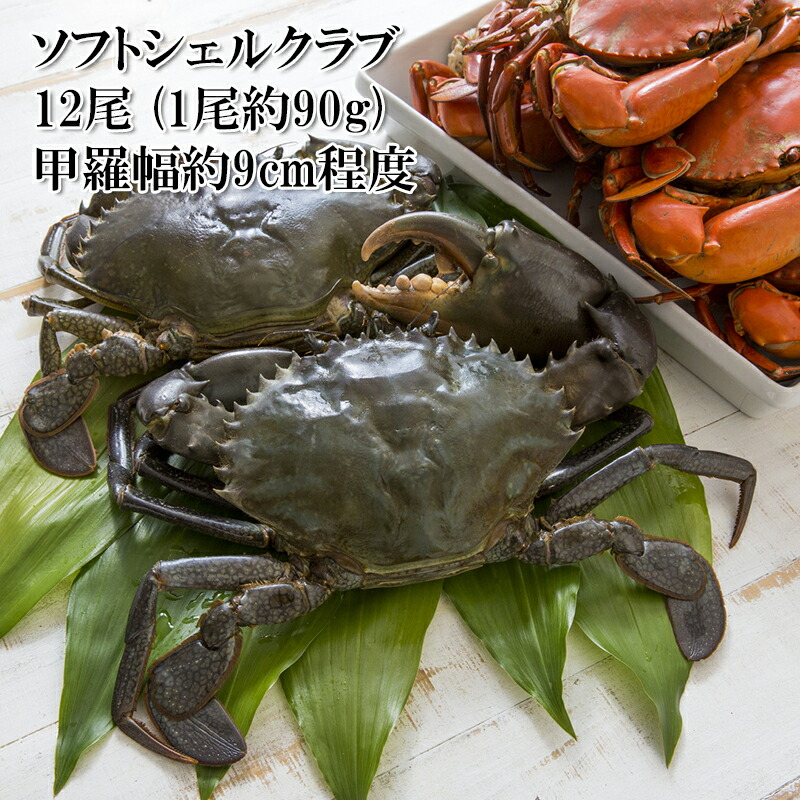 カニ 殻ごと香ばしく食べられる脱皮したての蟹 ソフトシェルクラブ 約90g 12尾 ノコギリガザミ 目・ガニ・エプロンを丁寧に取り除いてあります 冷凍
