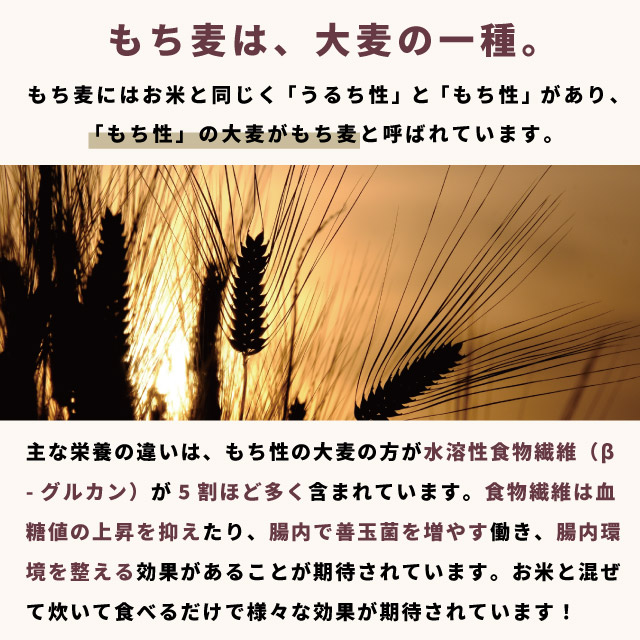 ポイント10 還元 1kg増量 国産 紫もち麦 10kg 1kg10袋 1kg ダイシモチ 皮付き アントシアニン 腸内環境 食物繊維 レビューで更に1袋 Umu Ac Ug