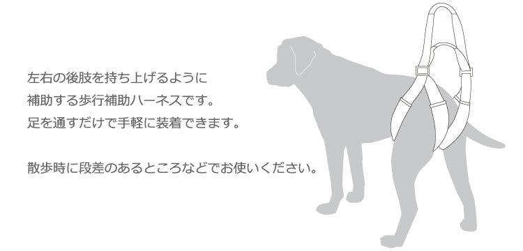 楽天市場 コーギー 介護用品 歩行補助 ハーネス アメカジ With Lalawalk 中型犬 名入れ 対象外 ペットグッズならエブリーペット