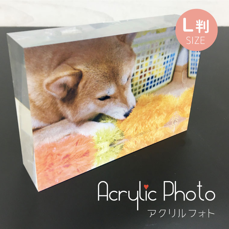 写真入り アクリルフォト L判サイズ 犬 遺影 ペット アクリルフォト アクリルブロック フォトフレーム キューブ オーダーメイド プレゼント ギフト 犬グッズ 子供 赤ちゃん ベビー キッズ カップル 親子 犬猫 うちの子 かわいい メモリアル 記念|エブリーペット