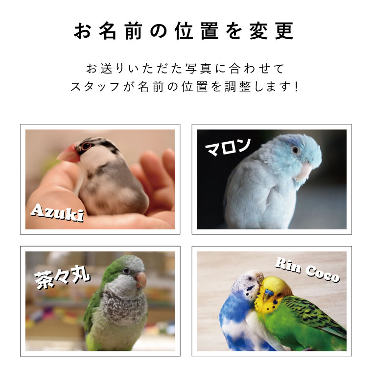 楽天市場 スーパーセール 10 オフ ミニトートバッグ ペット 写真 名入れ 名入り インコ 文鳥 なぁにデザイン 鳥グッズ レディース かわいい おしゃれ トートバッグ ミニバッグ ランチバッグ 小さめ かばん ギフト プレゼント ペットグッズならエブリーペット