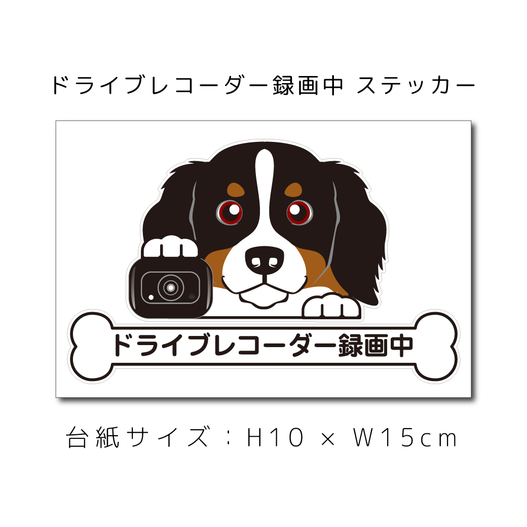 楽天市場 ドラレコステッカー バーニーズ 犬ステッカー 車ステッカー ドライブレコーダー録画中 窓 ペット Dog ドッグ イヌ いぬペット 名入れ 対象外 ペット ペットグッズならエブリーペット