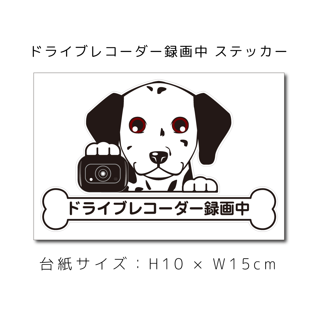 楽天市場 ドラレコステッカー ダルメシアン 犬ステッカー 車ステッカー ドライブレコーダー録画中 窓 ペット Dog ドッグ イヌ いぬペット 名入れ 対象外 ペット ペットグッズならエブリーペット