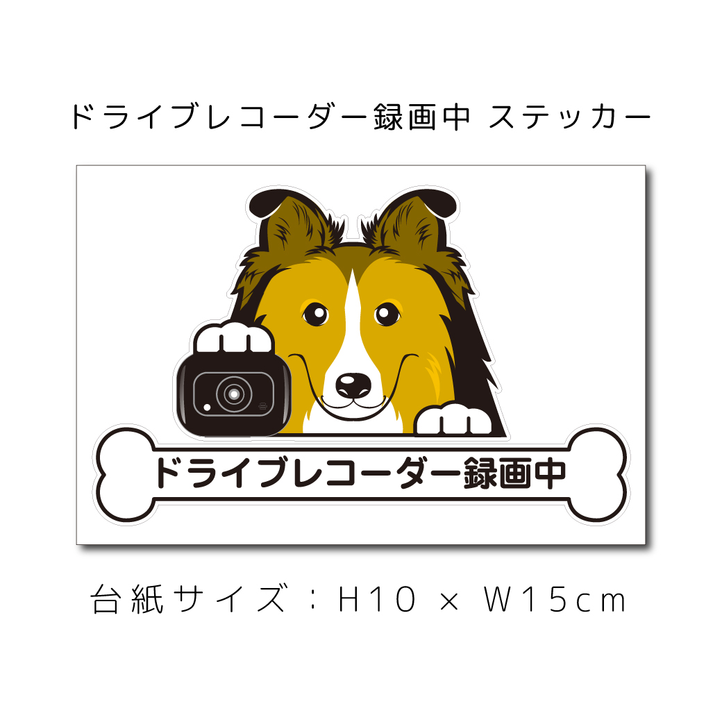 楽天市場 ドラレコステッカー シェルティ 犬ステッカー 車ステッカー ドライブレコーダー録画中 窓 ペット Dog ドッグ イヌ いぬペット 名入れ 対象外 ペット ペットグッズならエブリーペット