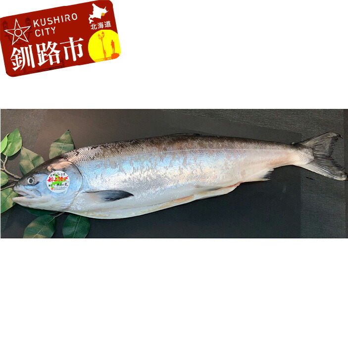 高級品 ふるさと納税 北海道 釧路市 魚 F4F-0930 紅鮭切り身4切入り