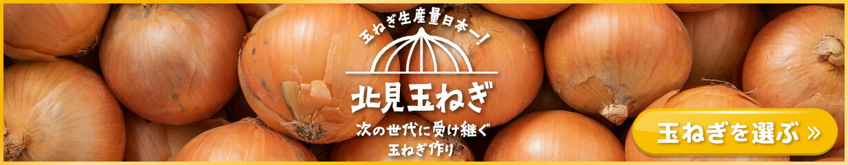 楽天市場】【ふるさと納税】北海道オホーツク産ビート100％上白糖10kg【3ヶ月定期便】 : 北海道北見市