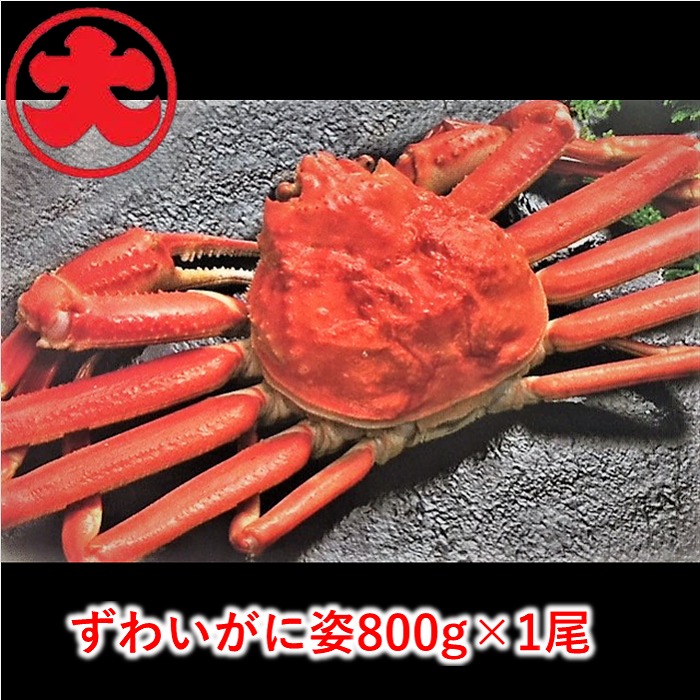 【ふるさと納税】ずわいがに姿 選べる1尾～4尾 楚蟹 カニ 蟹 北海道 根室市