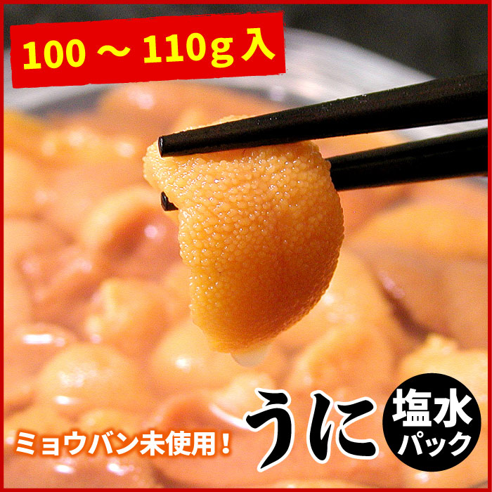 ５５％以上節約 ふるさと納税 エゾバフンウニ 赤色 塩水パック80〜90g×2P B-07014 北海道根室市  materialworldblog.com