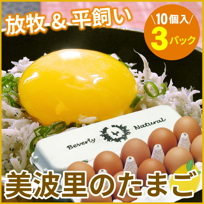 公式の 楽天市場 ふるさと納税 北海道根室産 美波里ナチュラル卵10個 3p B 北海道根室市 楽天ランキング1位 Lexusoman Com