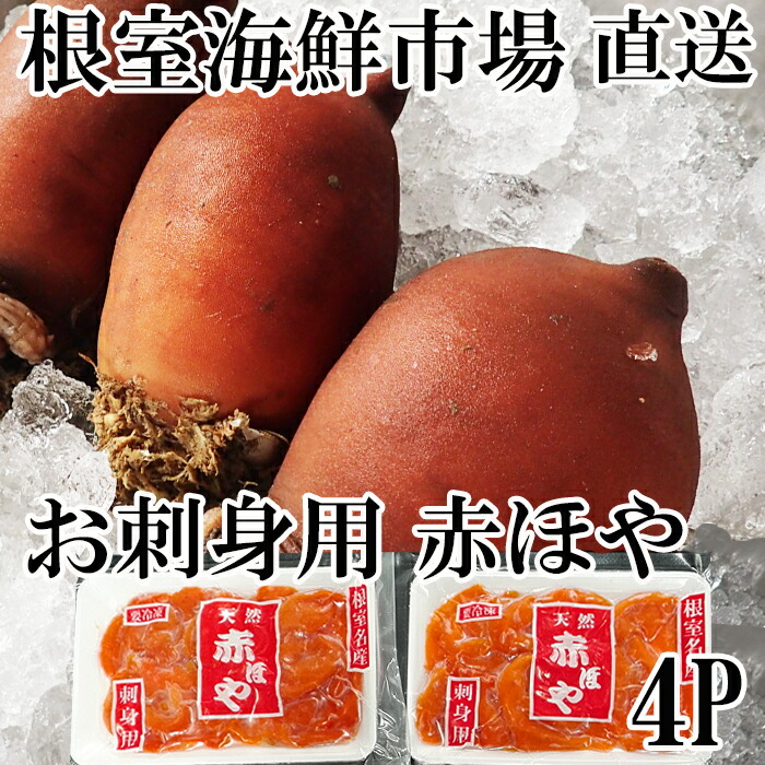 ふるさと納税 北海道根室産 お刺身用赤ほや むき身 5個 4p A さだまさし この5年くらい英語をすごく勉 Diasaonline Com