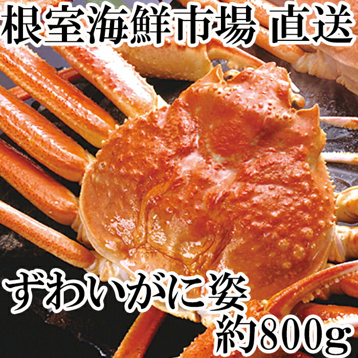 ボイル本ズワイガニ姿約800g×1尾 B-11044