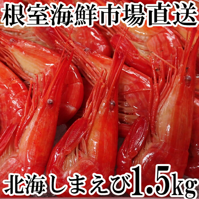 ふるさと納税 根室市 北海シマエビ1kg 160〜180尾 A-56014 【SALE／72%OFF】