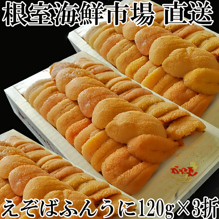 即納 最大半額 エゾバフンウニ 黄系 約1g 3折 C 50 Off Vancouverfamilymagazine Com