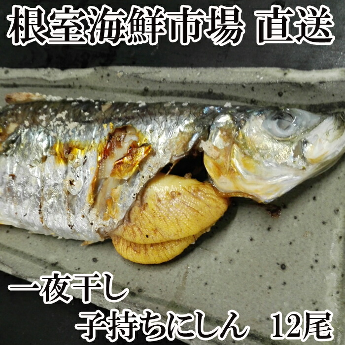第1位獲得 一夜干し子持ちにしん12尾 A Nrockconstruction Com