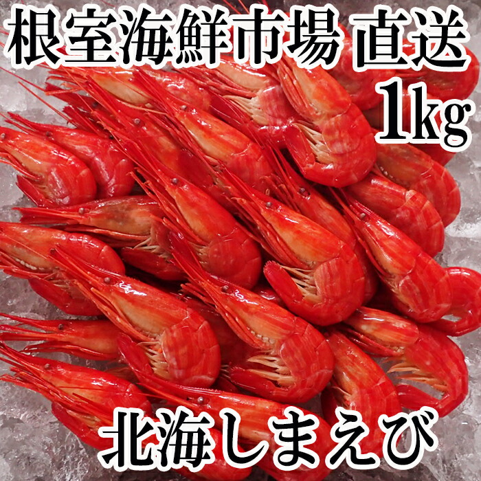 ふるさと納税 根室市 北海道根室産 ×2P 32〜46尾 計1kg しまえび500g B-24003