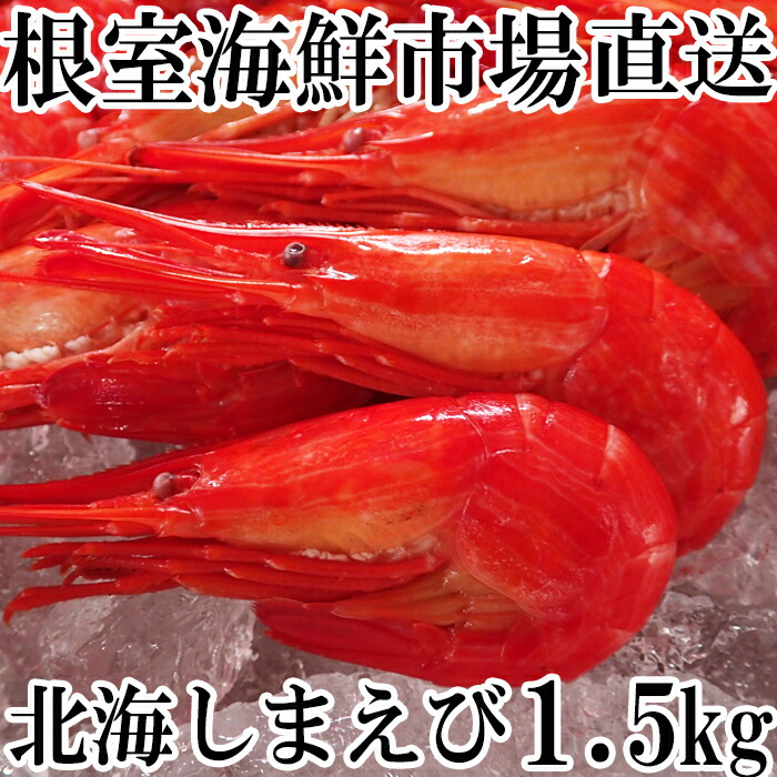 【楽天市場】【ふるさと納税】[北海道根室産]北海しまえび500g前後 A-60001 : 北海道根室市