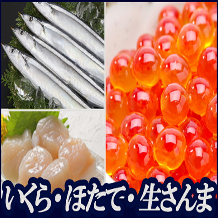 SALE／97%OFF】 いくら醤油漬け100g×1P 紅鮭切身5切×2P A-36028 fucoa.cl