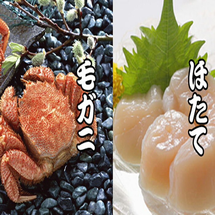 【ふるさと納税】 毛かに・ほたて貝柱セット ホタテ ほたて 帆立 帆立貝柱 ホタテ貝柱 貝柱 毛がに 毛蟹 けがに ケガニ かに カニ 蟹 お取り寄せ グルメ 海鮮 北海道 根室市 ふるさと納税 C-36043