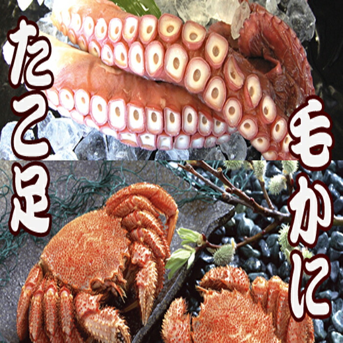 ふるさと納税 北海道根室産 毛かに400 550g前後 1尾 たこ足1kg以上 本 C Sandjfisheries Co Uk ふるさと納税 北海道根室産 毛かに400 550g前後 1尾 たこ足1kg以上 本 C Sandjfisheries Co Uk