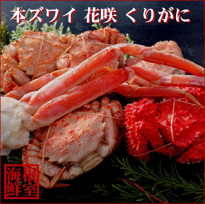 長谷川奈津 粉引茶碗 粉引湯呑 青木亮