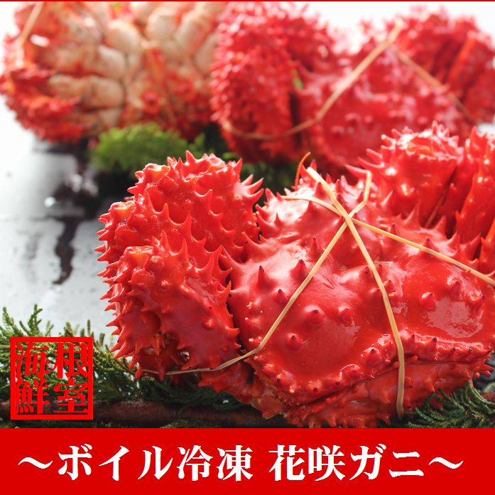 【ふるさと納税】 花咲ガニ 1.8 ~ 2.0kg 前後 × 1 尾 花咲がに 花咲 花咲かに 花咲蟹 かに カニ 蟹 お取り寄せ グルメ 海鮮 ボイル 茹で蟹 茹でがに 茹でガニ 北海道 根室市 ふるさと納税 D-57014