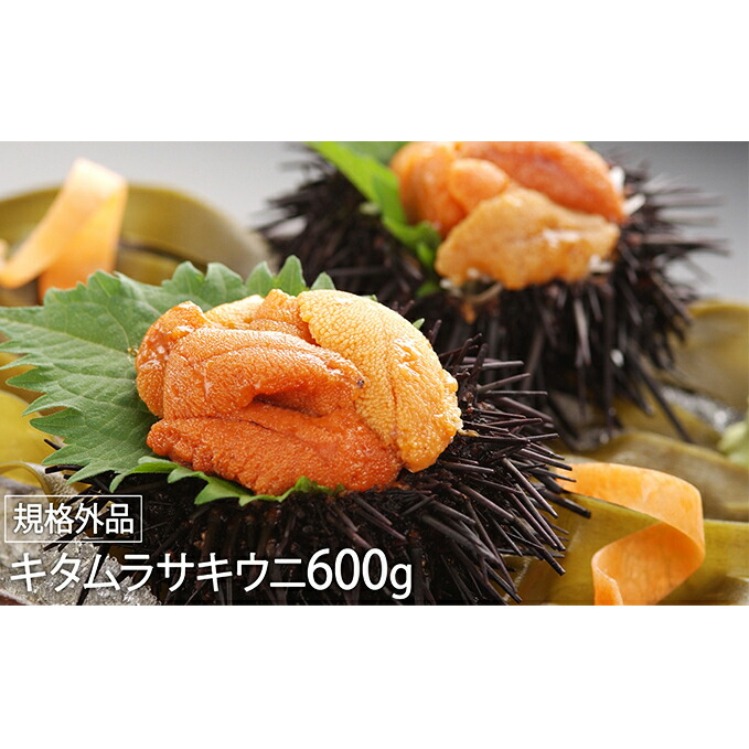 ふるさと納税 規格外品 キタムラサキウニ600g 100gパック入り 6個 21年6月下旬よりお届け 魚貝類 加工食品 キタムラサキウニ 600g ウニ 雲丹 お届け 21年6月下旬 8月末まで 北海道登別市 加工食品 寄附お申込フォームの Painandsleepcenter Com
