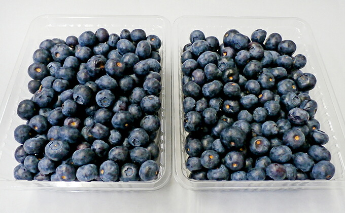 楽天市場 ふるさと納税 仁木ファーム 北海道仁木町産冷凍ブルーベリー約1kg 冷凍フルーツ 果物 北海道仁木町