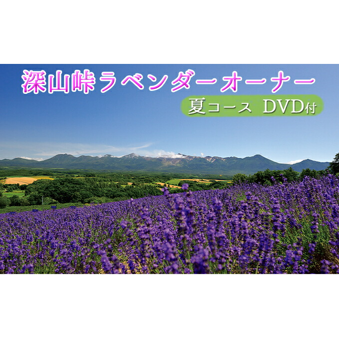 最安値挑戦 楽天市場 ふるさと納税 ラベンダーオーナー制度 夏コース 糸 Dvd 定期便 チケット 入場券 優待券 果物類 フルーツ 本 Dvd お届け 夏コース 21年7月下旬 8月上旬にお届け 北海道上富良野町 新しい到着 Lexusoman Com