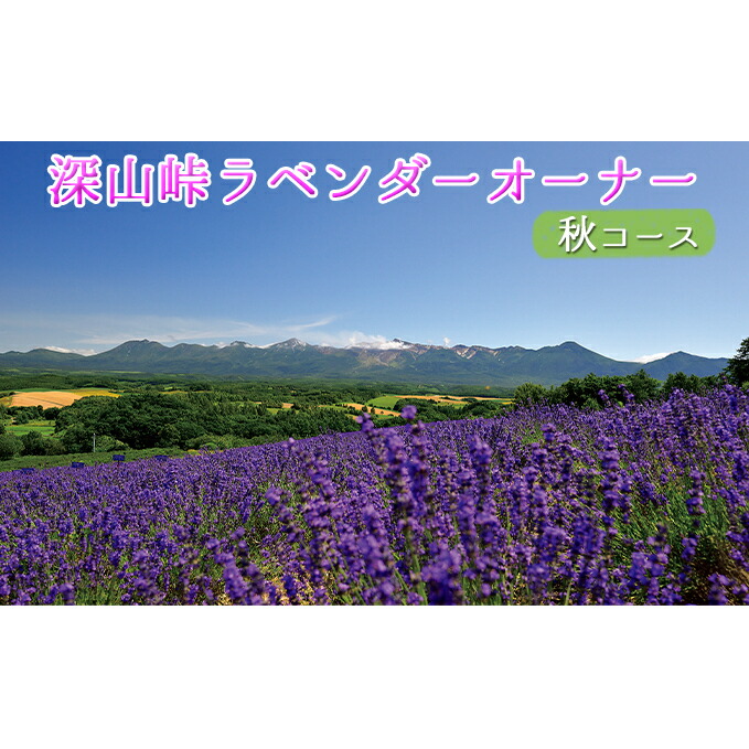 最安 楽天市場 ふるさと納税 ラベンダーオーナー制度 秋コース 定期便 チケット 入場券 優待券 野菜 セット 詰合せ アロマグッズ お届け 秋コース 21年9月下旬 10月上旬にお届け 北海道上富良野町 訳ありセール格安 Lexusoman Com