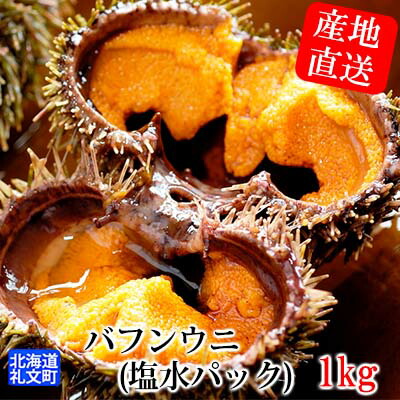 北海道礼文町 ウニ ふるさと納税 魚介類 水産加工品 魚貝類 ウニ 雲丹 バフンウニ うに 礼文島産 採れたてバフンウニ 塩水パック 100g 10 お届け 21年6月 7月末まで 北海道礼文町 21年度発送分