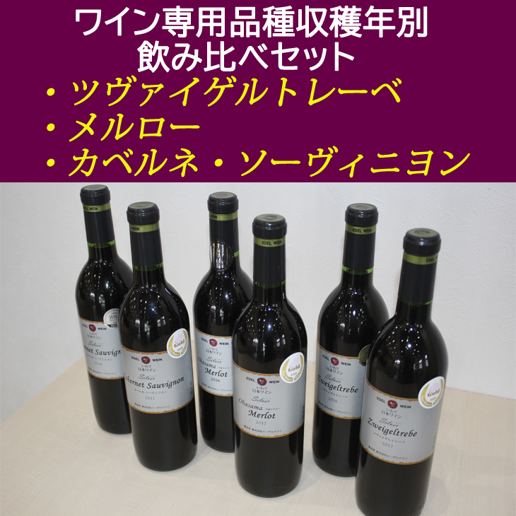 ふるさと納税 エーデルワイン 赤ワイン3品種 刈りこむ年別 飲み込むこと手合わせ 書帙書き割り 音物 Marchesoni Com Br