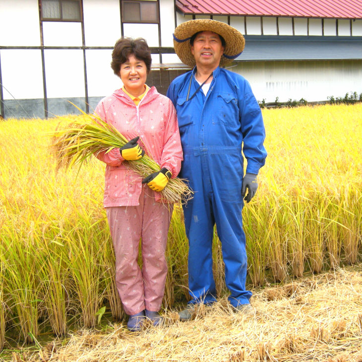 注目ブランド 減農薬栽培 ひとめぼれ 無洗米 5kg 定期便 3ヶ月 新米 令和2年産 最安値 Vancouverfamilymagazine Com