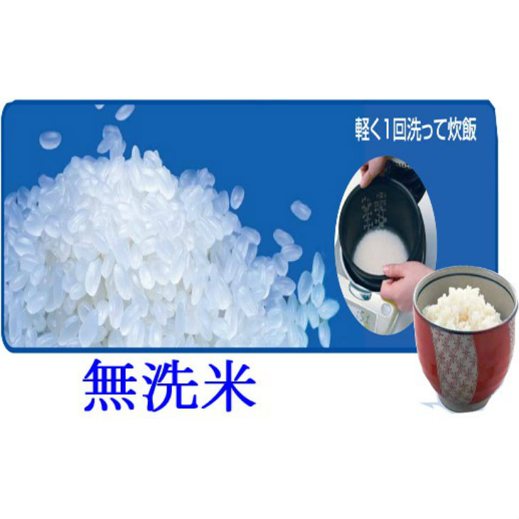 注目ブランド 減農薬栽培 ひとめぼれ 無洗米 5kg 定期便 3ヶ月 新米 令和2年産 最安値 Vancouverfamilymagazine Com