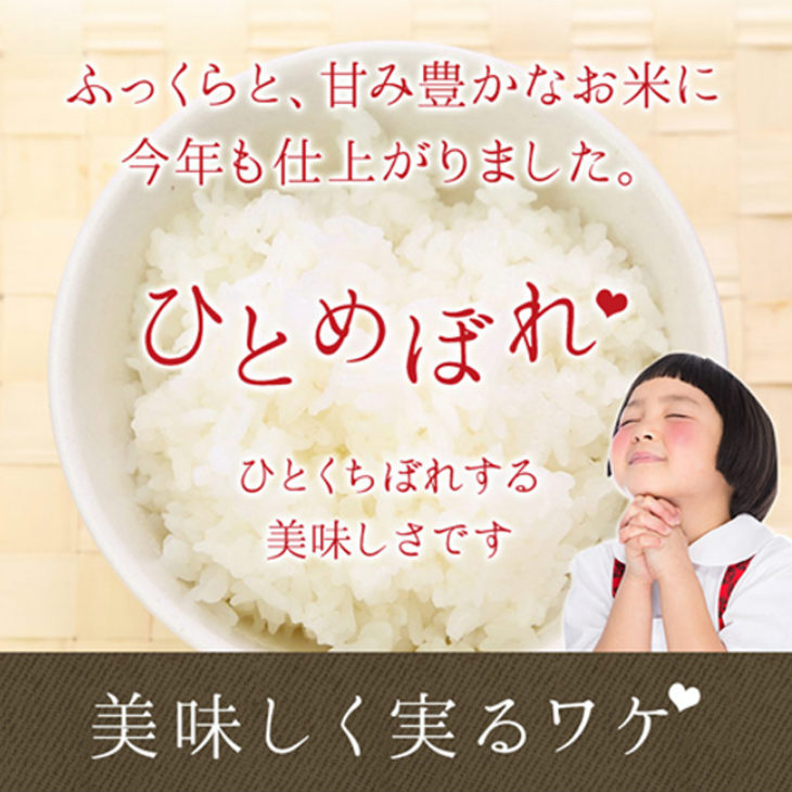 注目ブランド 減農薬栽培 ひとめぼれ 無洗米 5kg 定期便 3ヶ月 新米 令和2年産 最安値 Vancouverfamilymagazine Com