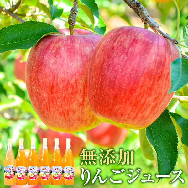 【ふるさと納税】搾りたて果汁100％！無添加りんごジュースお楽しみ６本セット　訳あり
