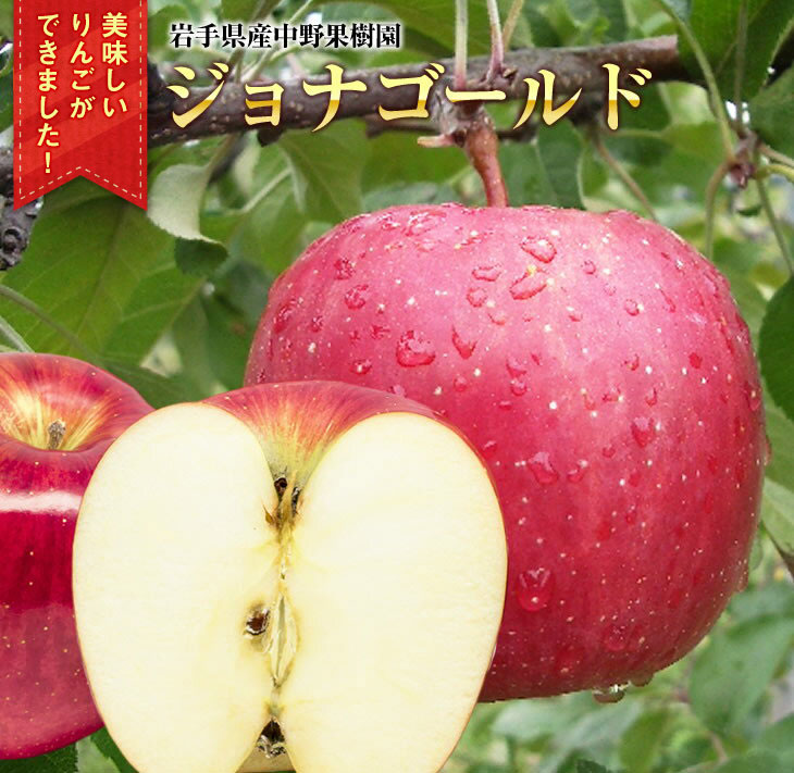 【ふるさと納税】中野果樹園のジョナゴールド5kg（16～20個入り）