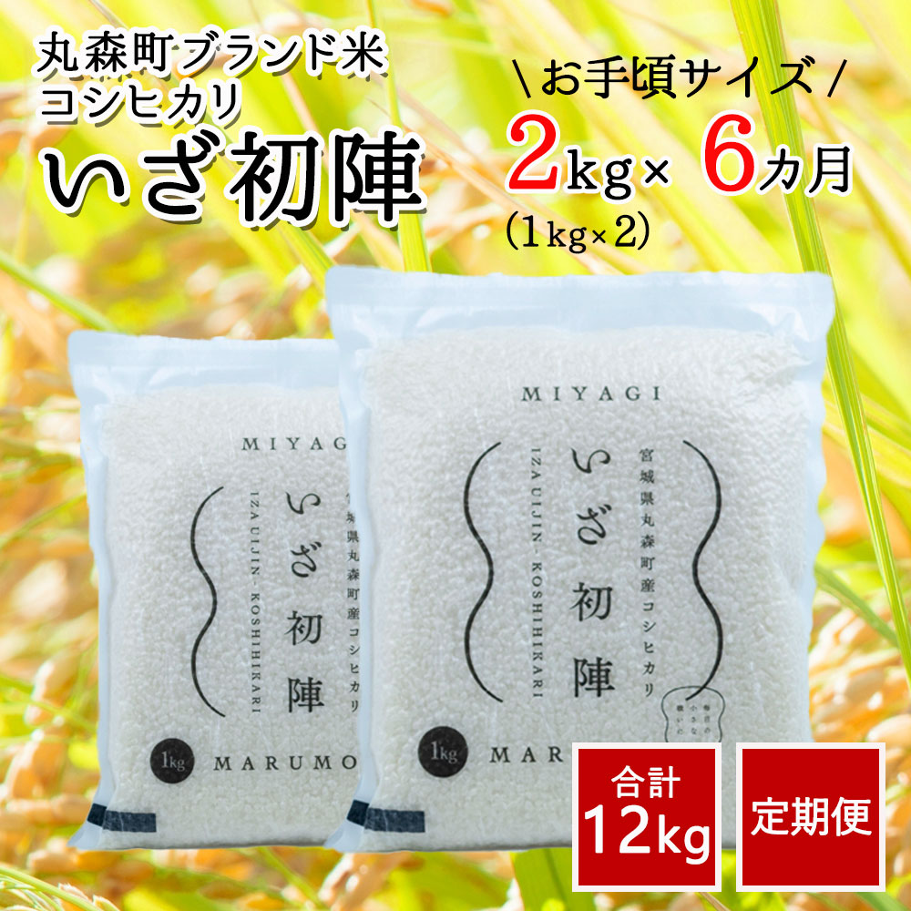 超人気の 令和2年度産 コシヒカリ 2kg 6カ月 合計12kg 定期便 ブランド 米 いざ初陣 旨味と甘みが特徴 精米 減農薬 一人暮らし お手頃 お取り寄せグルメ 最も優遇 Vancouverfamilymagazine Com