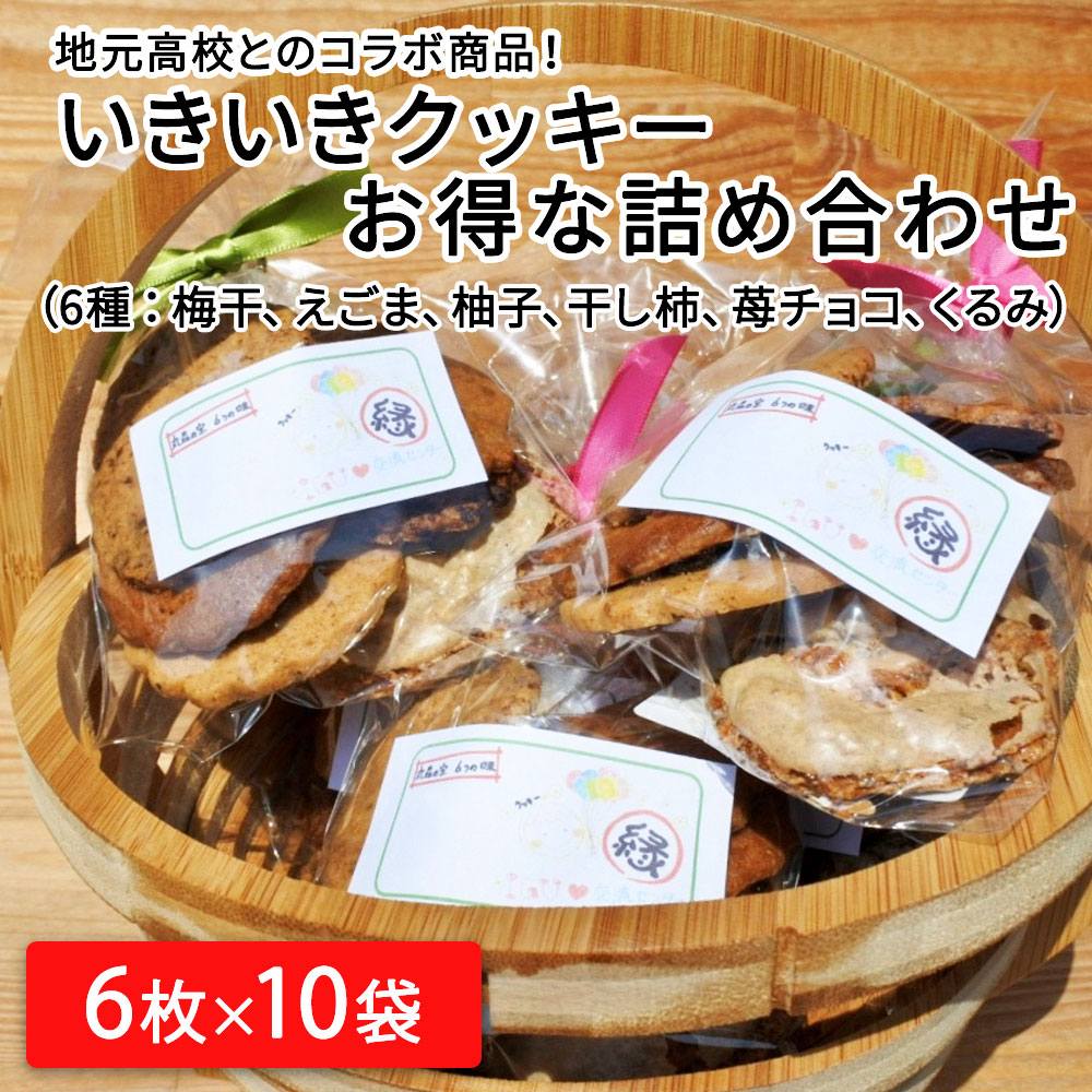 人気の新作 丸森町いきいきクッキー6枚入り×10袋 お得な詰め合わせ 梅干し えごま ゆず 干柿 苺チョコ くるみ 洋菓子 特製クッキー 食べ比べ お試しサイズ  国産 丸森町 送料無料 fucoa.cl