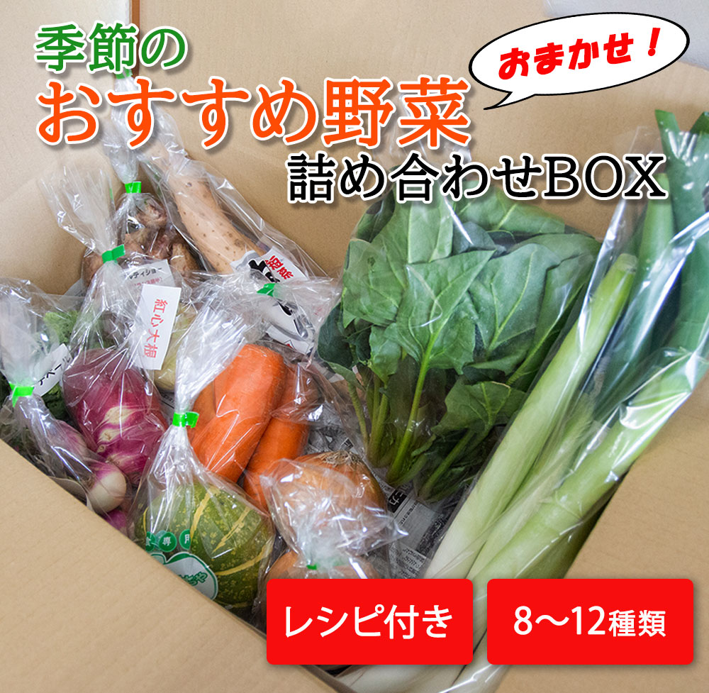 開店記念セール！ 季節のおすすめ野菜おまかせ詰め合わせBOX 8種〜12種類 通常サイズ 野菜セット 送料無料 fucoa.cl