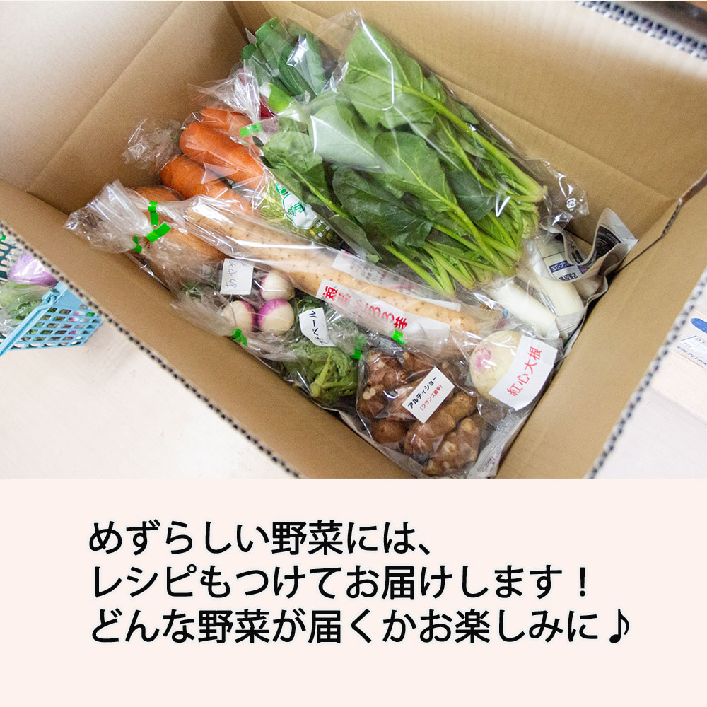 開店記念セール！ 季節のおすすめ野菜おまかせ詰め合わせBOX 8種〜12種類 通常サイズ 野菜セット 送料無料 fucoa.cl