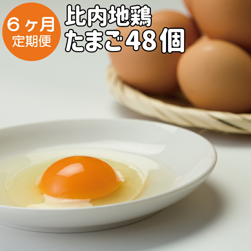 保証書付 定期便6ヶ月 秋田比内地鶏たまご48個 6個入 8パック 6ヶ月 ブランド鶏 玉子 鶏卵 朝食 卵かけごはん お菓子作り 240p5301 忠犬ハチ公と秋田犬のふるさと大館市 秋田県大館市 特売 Vancouverfamilymagazine Com