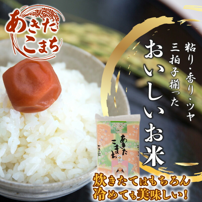 ふるさと納税 あきたこまち10kg 5kg 2袋 令和2年産 精米 白米 日時指定 発送時期 農家直送 産直 お取り寄せ 送料無料 60p9003 忠犬 ハチ公と秋田犬のふるさと大館市 Chelsesgreenhouse Com
