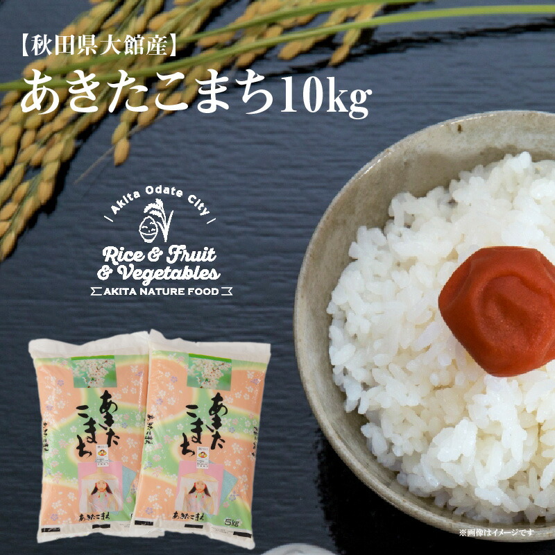 ふるさと納税 あきたこまち10kg 5kg 2袋 令和2年産 精米 白米 日時指定 発送時期 農家直送 産直 お取り寄せ 送料無料 75p9002 忠犬 ハチ公と秋田犬のふるさと大館市 Seedelfina Com