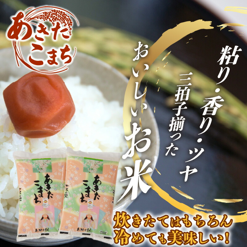 ふるさと納税 あきたこまち10kg 5kg 2袋 令和2年産 精米 白米 日時指定 発送時期 農家直送 産直 お取り寄せ 送料無料 75p9002 忠犬 ハチ公と秋田犬のふるさと大館市 Seedelfina Com