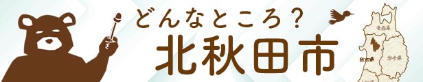 楽天市場】【ふるさと納税】《定期便12ヶ月》【白米】 秋田県産