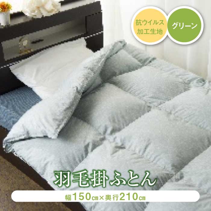 【ふるさと納税】綿毛ふとん 濾過性病原体産業出どころ当てはめる 緑であること